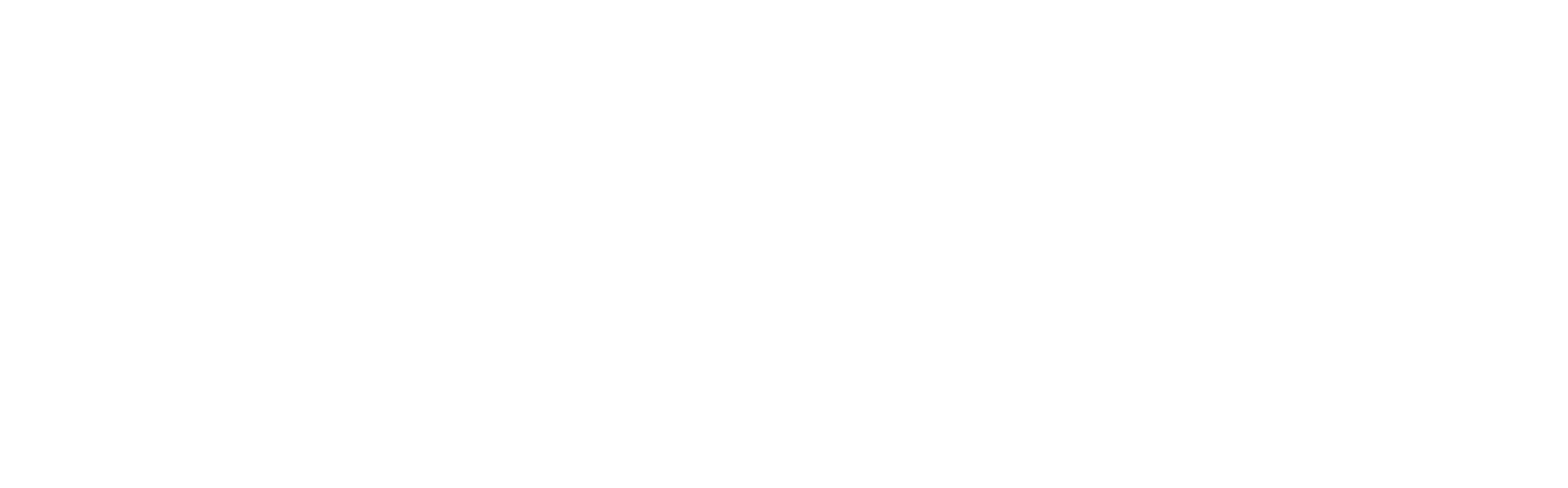 Wild Tornado Casino official logo